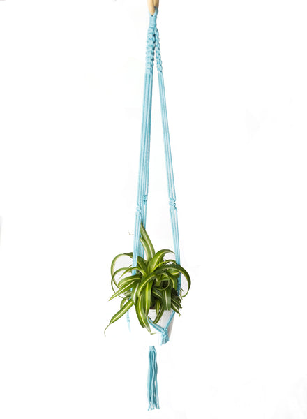 Macramé Plant Hangers