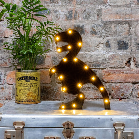 BLACK T-REX DINOSAUR LED Light