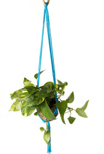 Macramé Plant Hangers