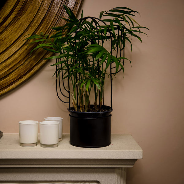 Cactus Shaped Plant Stand