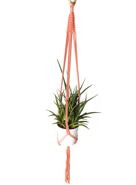 Macramé Plant Hangers