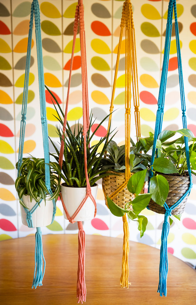 neon macrame plant hanger Macramé Plant Hangers – Rup & Forn