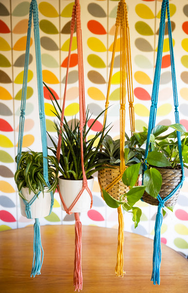 Macramé Plant Hangers