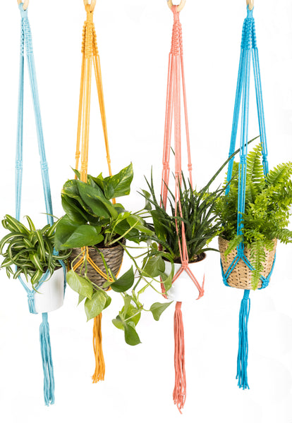 Macramé Plant Hangers