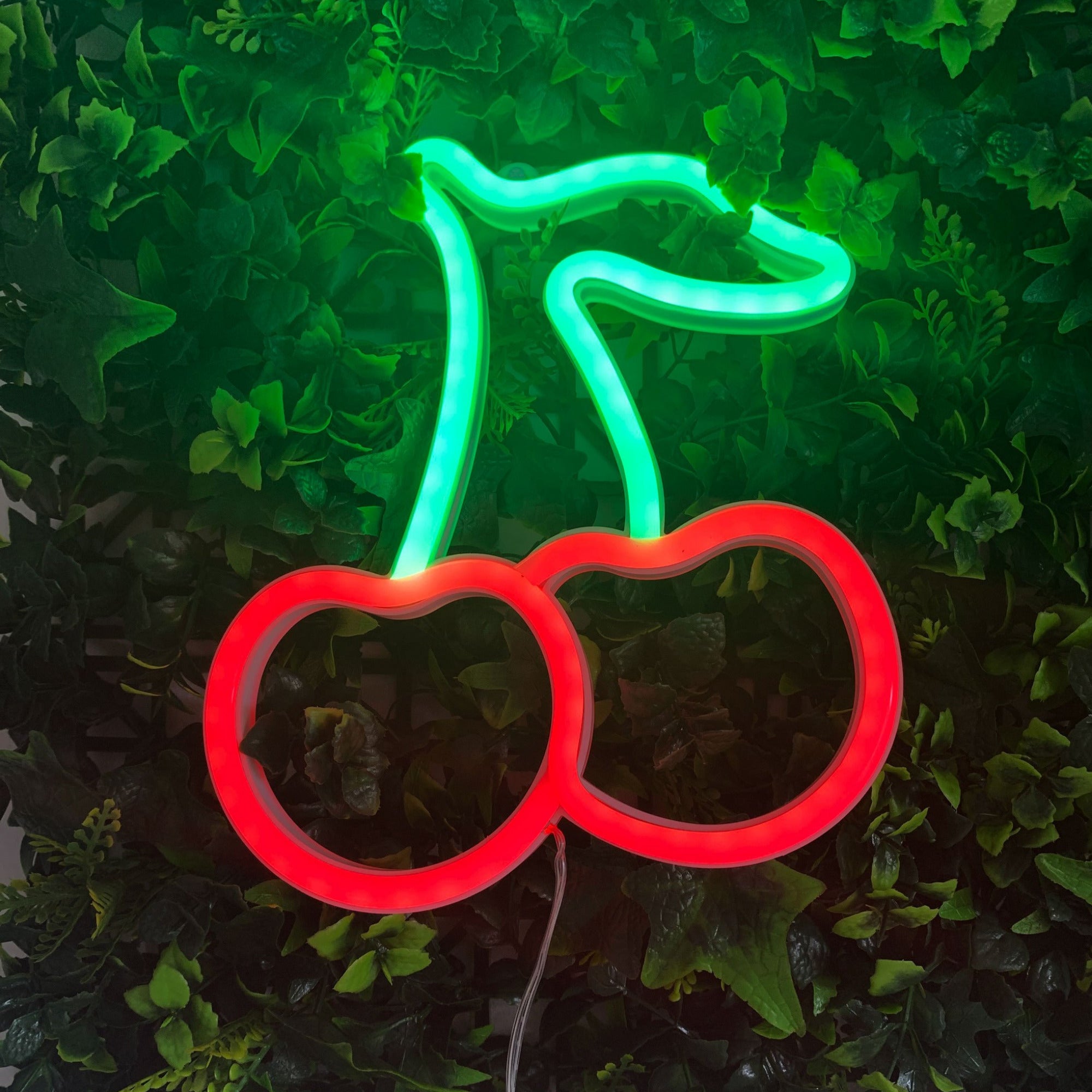CHERRIES Acrylic Neon LED Light