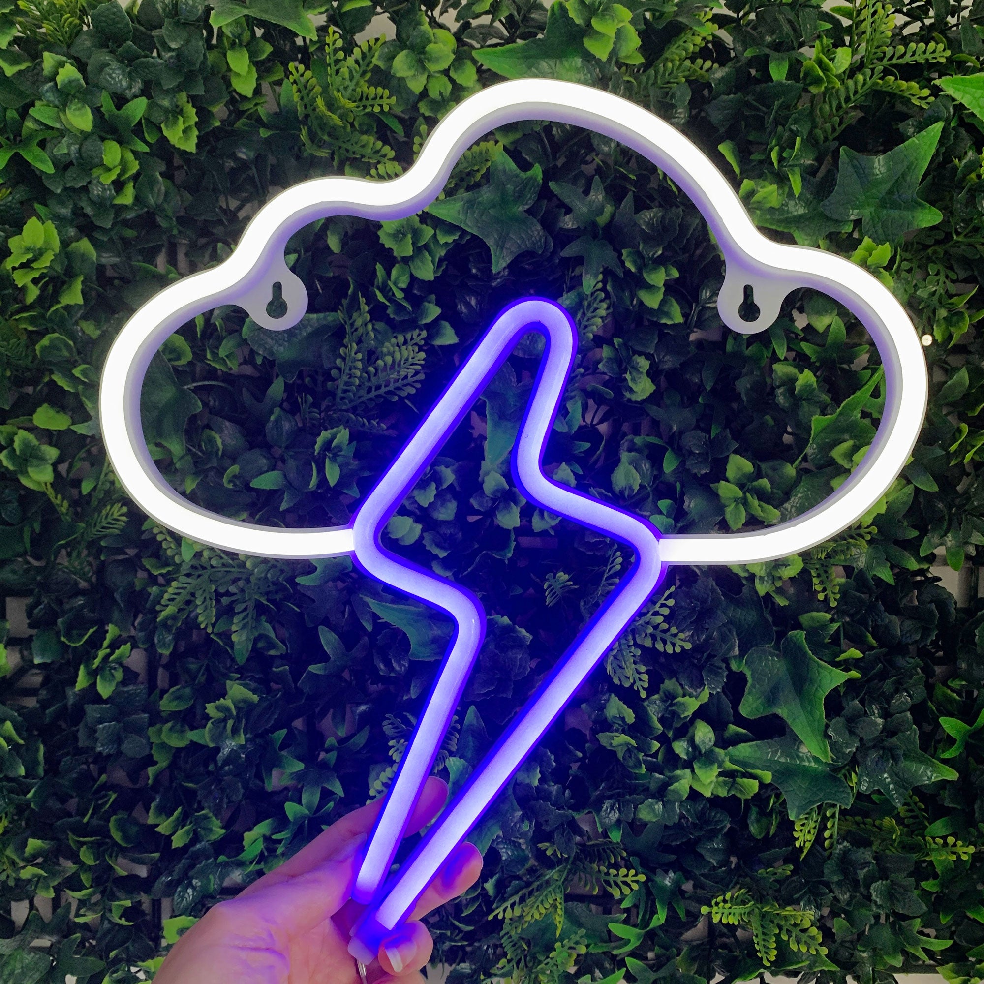 CLOUD & LIGHTNING Acrylic Neon LED Light
