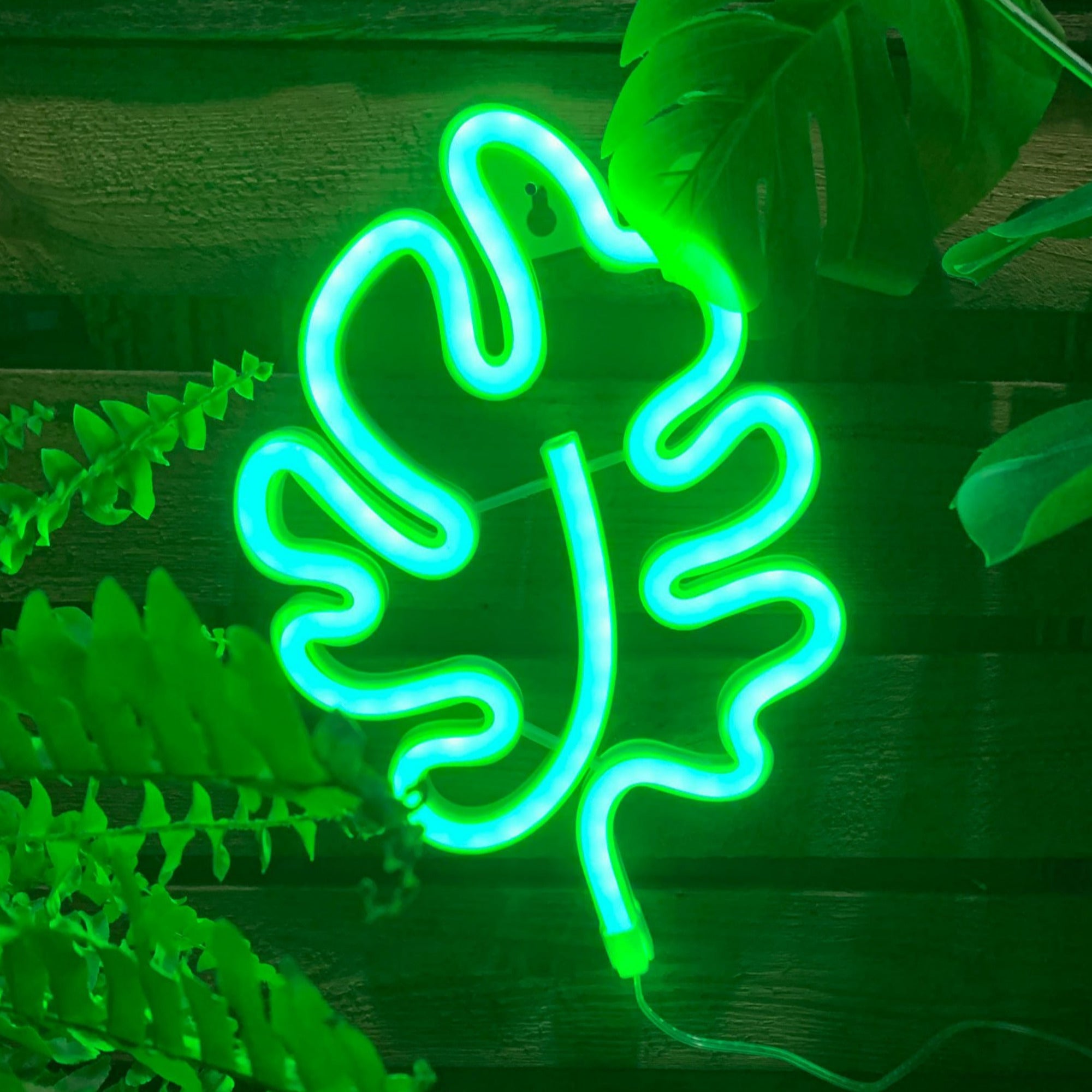 LEAF Acrylic Neon LED Light