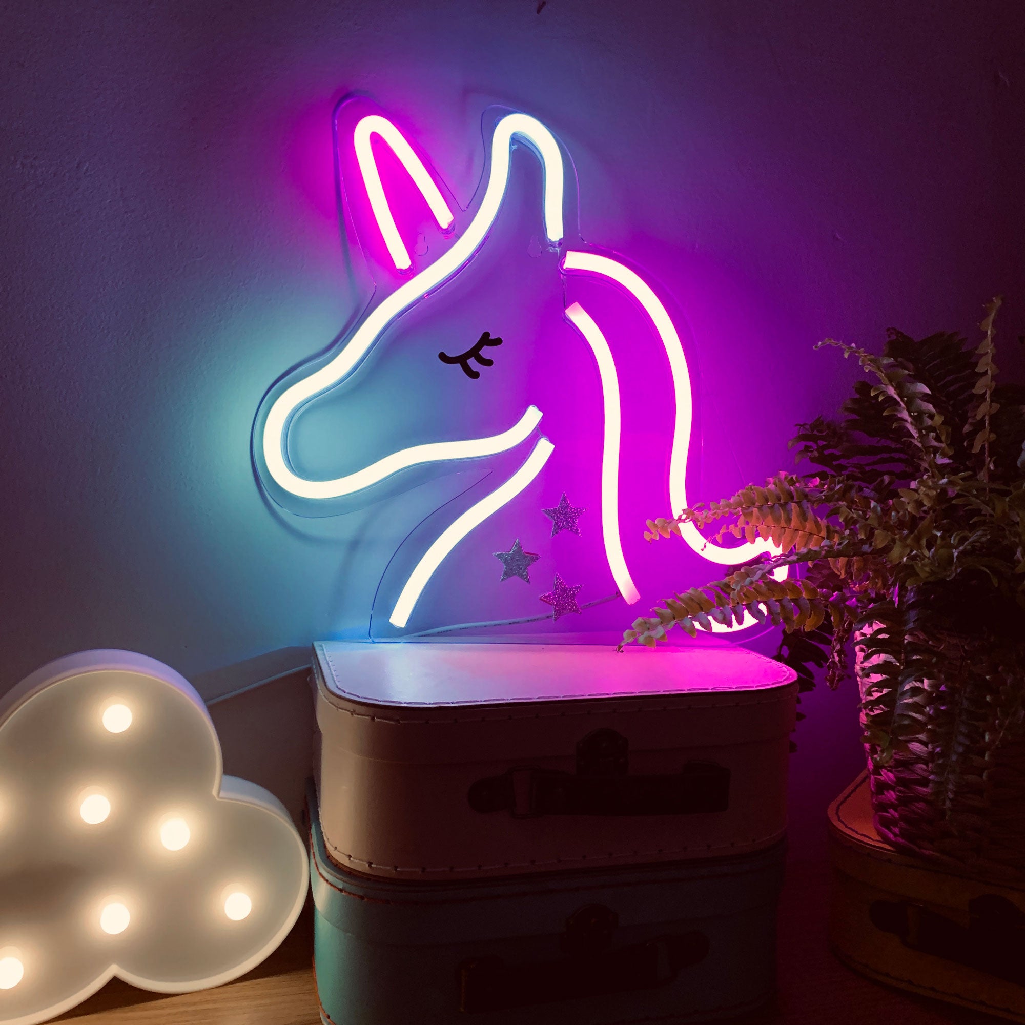 UNICORN Acrylic Neon LED Light