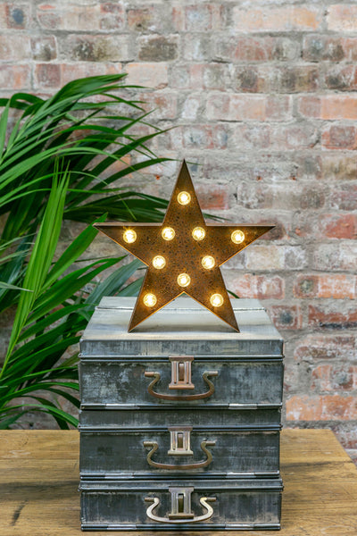 RUSTY STAR LED Light