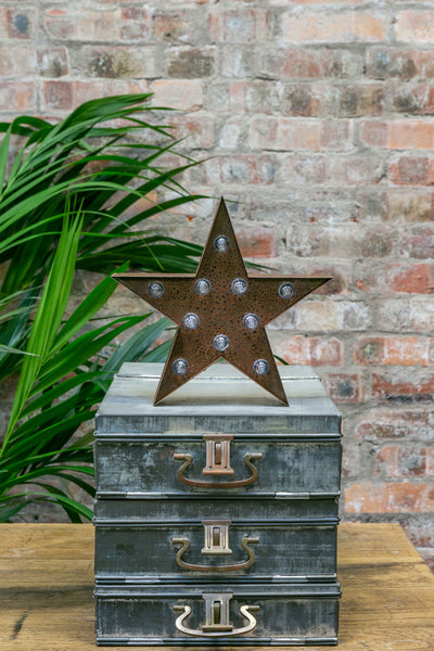 RUSTY STAR LED Light