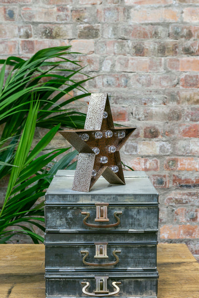 RUSTY STAR LED Light