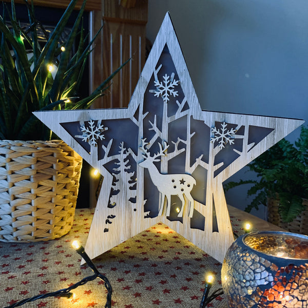 FESTIVE STAR LED LIGHTBOX