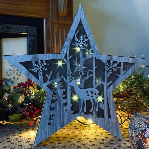 FESTIVE STAR LED LIGHTBOX