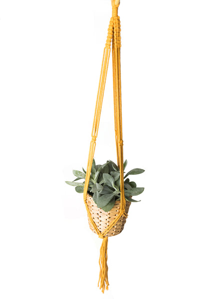 Macramé Plant Hangers