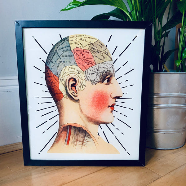 PHRENOLOGY Illuminated LightBox