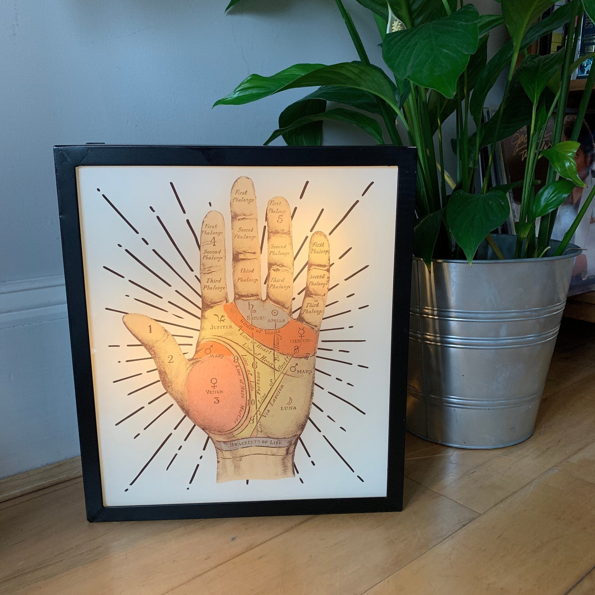 PALMISTRY Illuminated LightBox