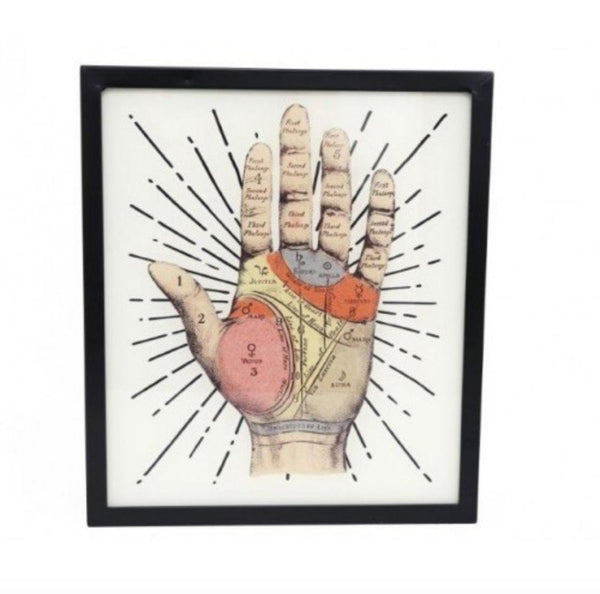 PALMISTRY Illuminated LightBox