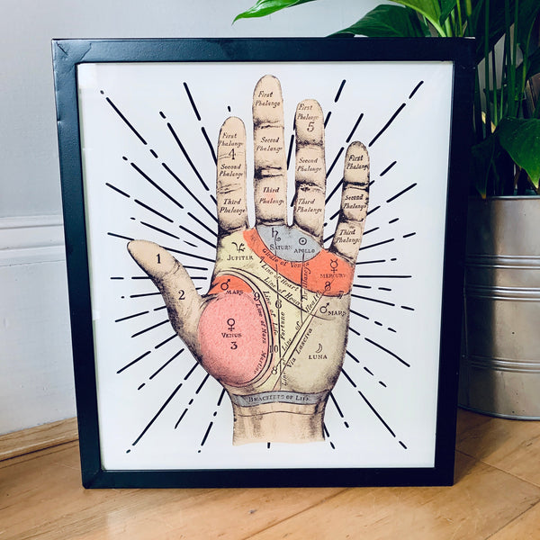 PALMISTRY Illuminated LightBox