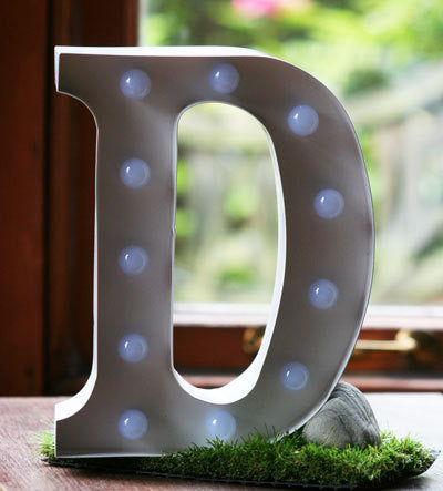 Metal D LED Letter Light