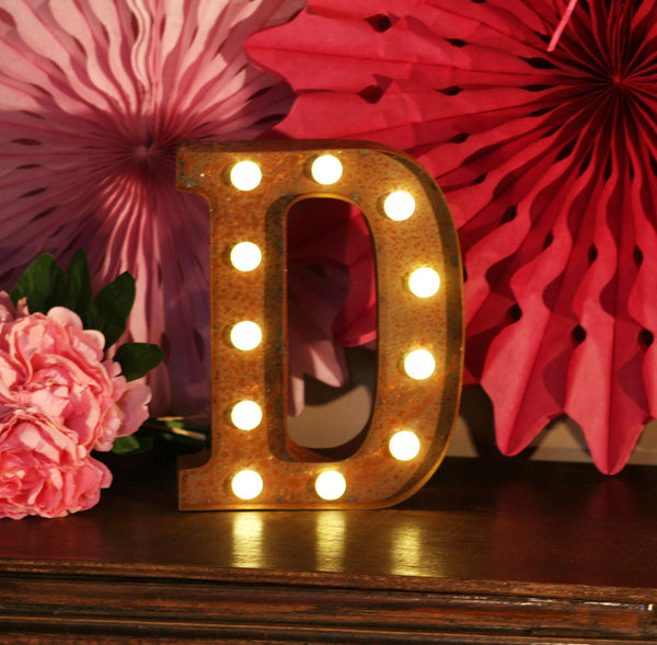 Metal D LED Letter Light